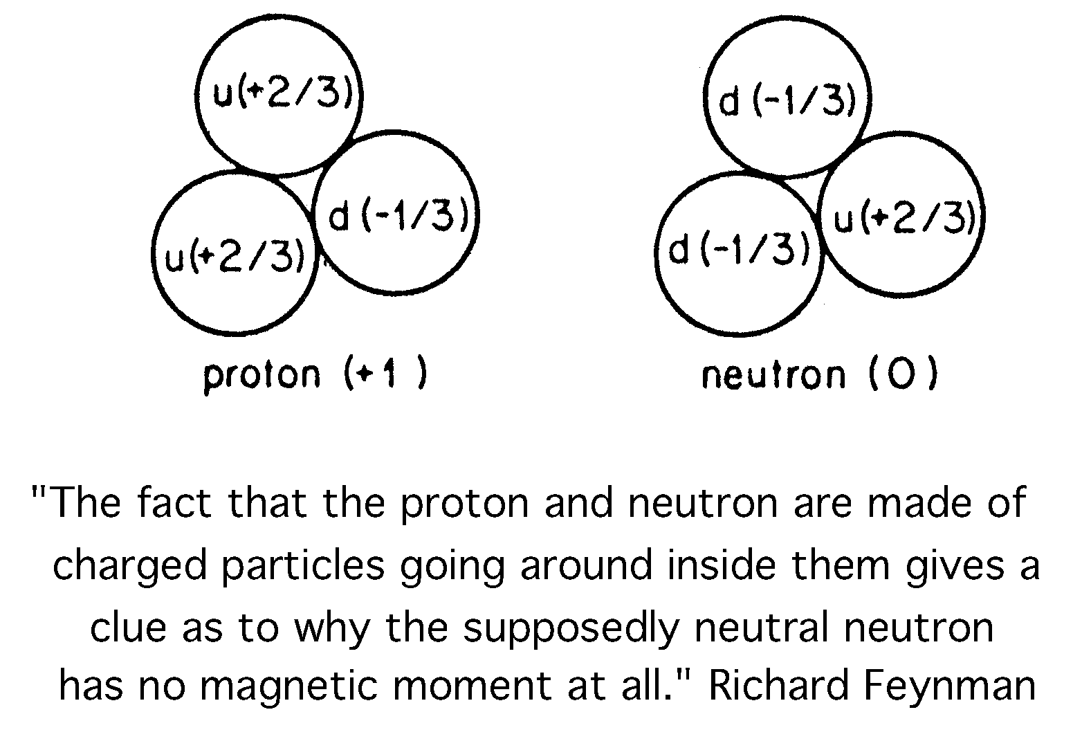 Feynman's Triplet Structures of the proton and neutron