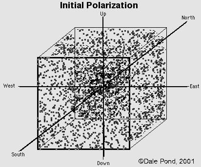 Initial Vector Polarizations