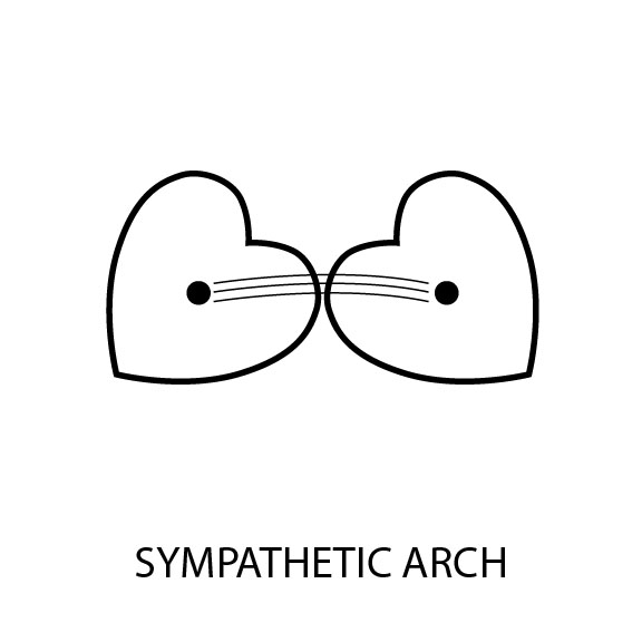 Sympathetic Arch