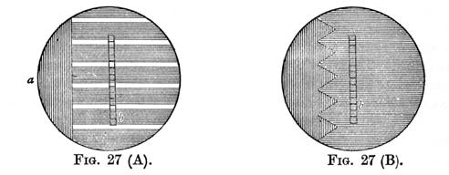 Figure 27 - Cycloscope Images