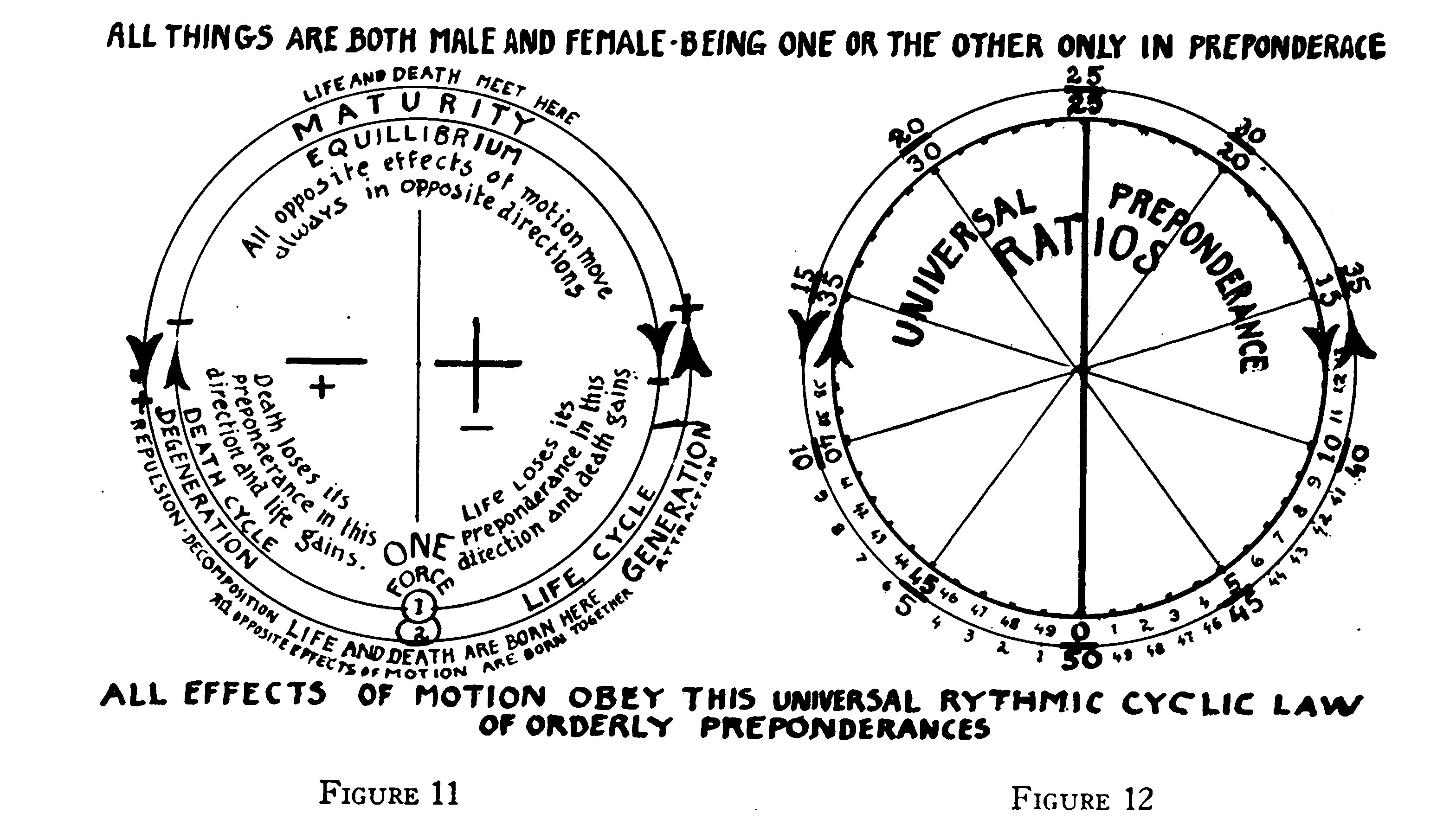 sympathetic-vibratory-physics-semi-cyclic-alteration