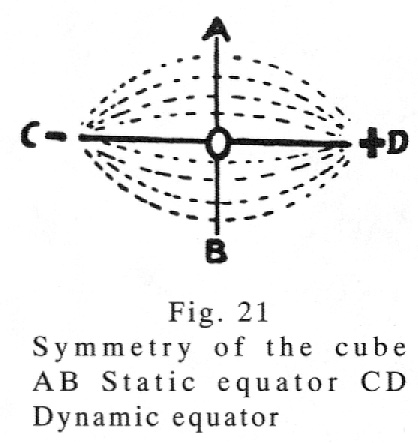 Symmetry of the Cube AB Static Equator - CD Dynamic Equator