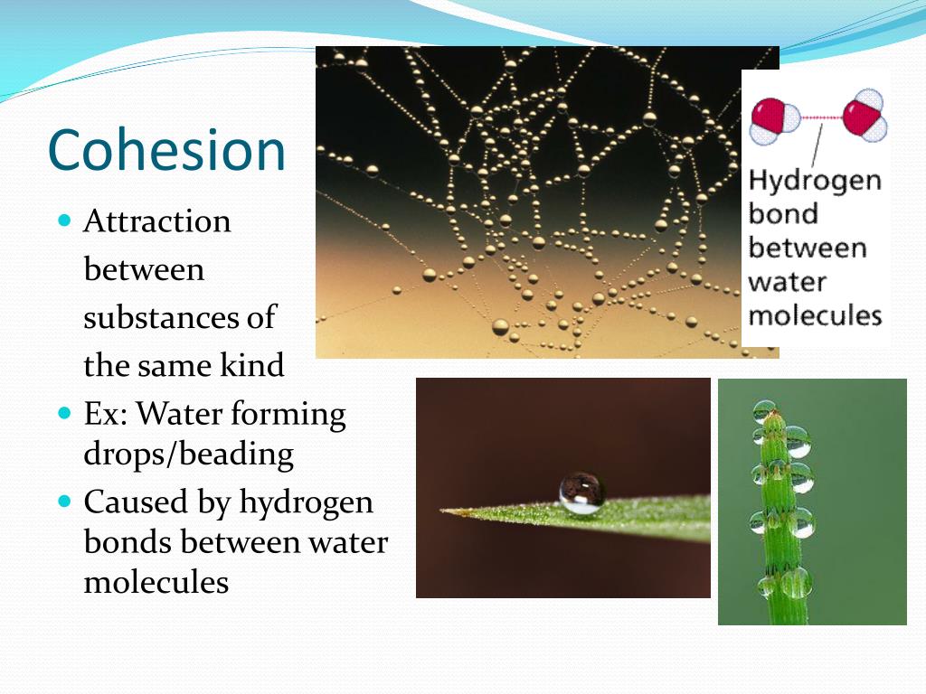 Sympathetic Vibratory Physics Cohesion 3006